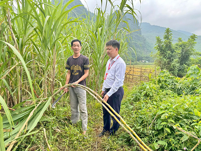 Hỗ trợ khách hàng bị thiệt hại do bão lũ khôi phục sản xuất, kinh doanh