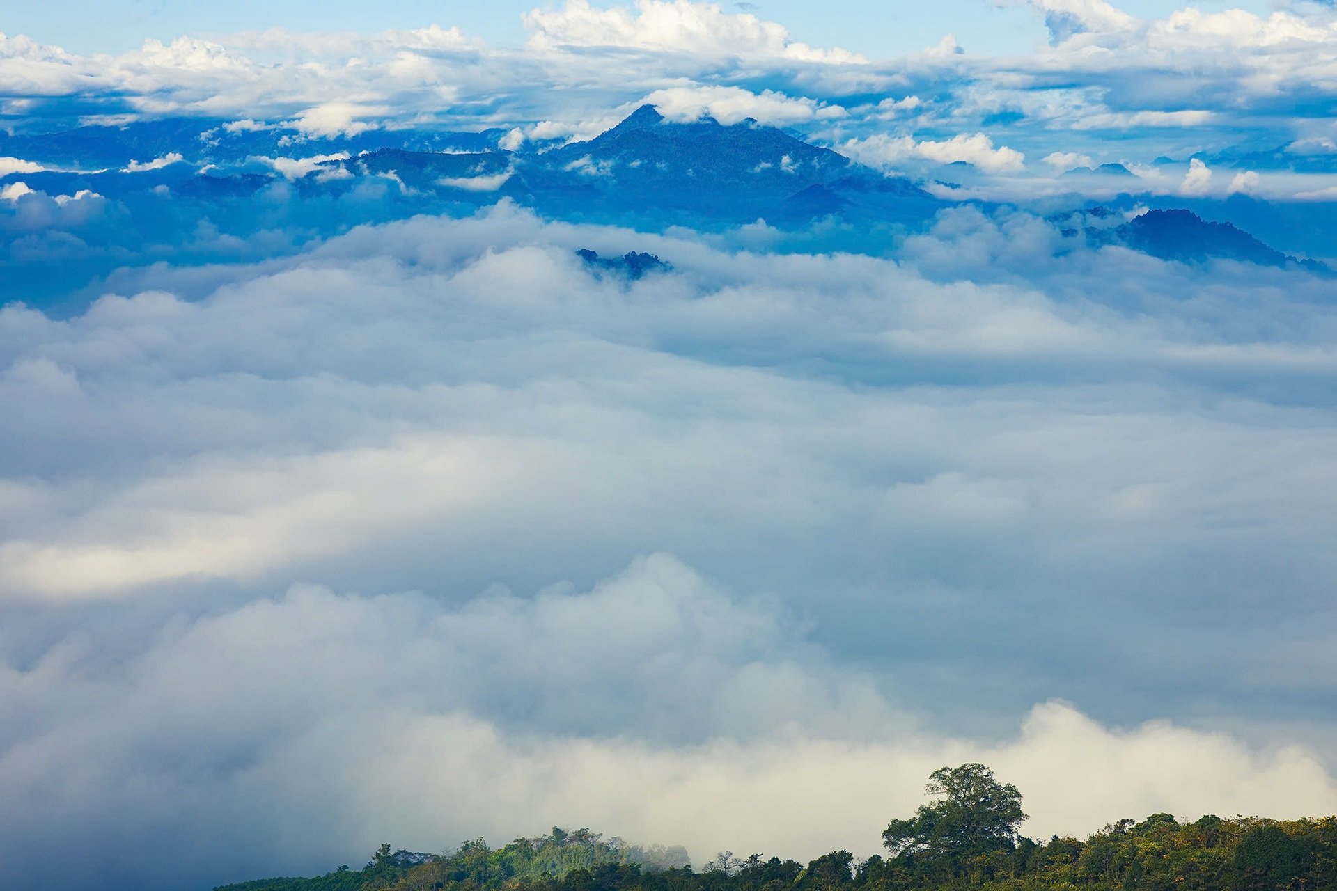 Ngắm thảo nguyên xanh mướt, điểm trekking lý tưởng ở Thanh Hóa - 3