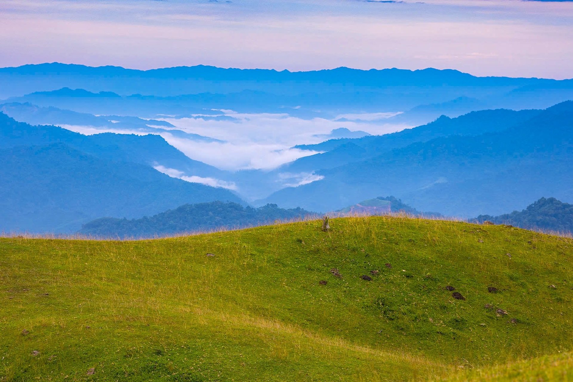 Ngắm thảo nguyên xanh mướt, điểm trekking lý tưởng ở Thanh Hóa - 8