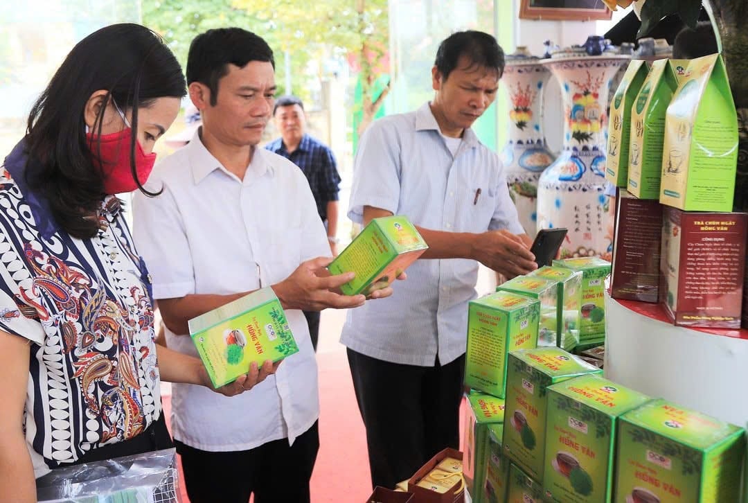 Trà chùm ngây Hồng Vân, sản phẩm OCOP 4 sao