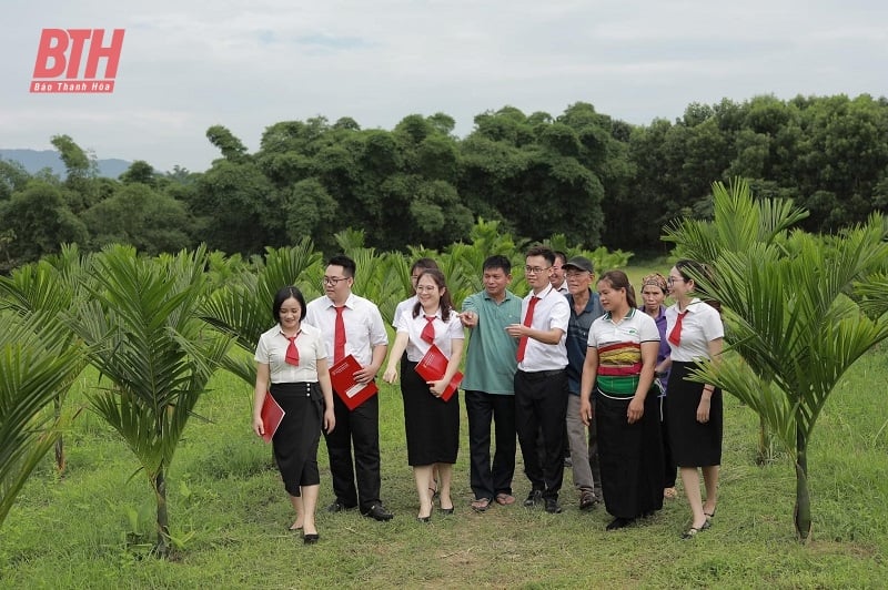 Phối hợp tuyên truyền thực hiện các chính sách tín dụng nông nghiệp, nông thôn và nông dân 