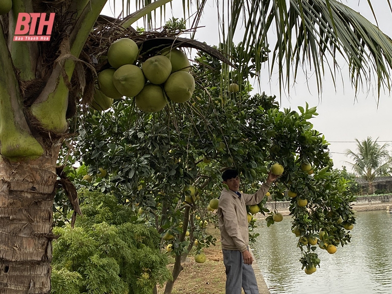 Những mô hình trang trại tuần hoàn khép kín cho thu nhập cao