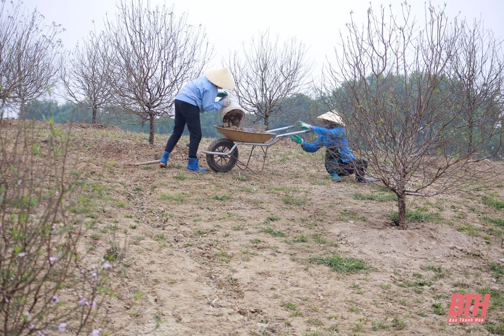 Nhộn nhịp trên công trường thi công các dự án trọng điểm