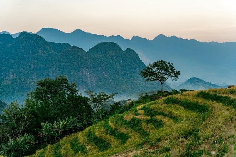 Gió thổi lâng lâng – Thanh xuân lại đến