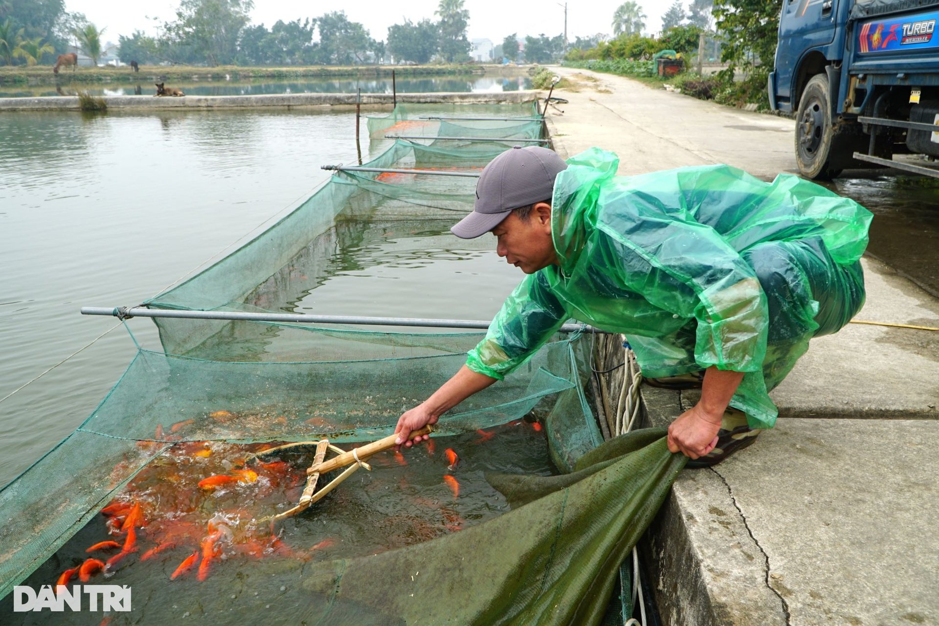 Cất mẻ lưới lớn nhất năm, kiếm trăm triệu đồng dịp Tết ông Công ông Táo - 6