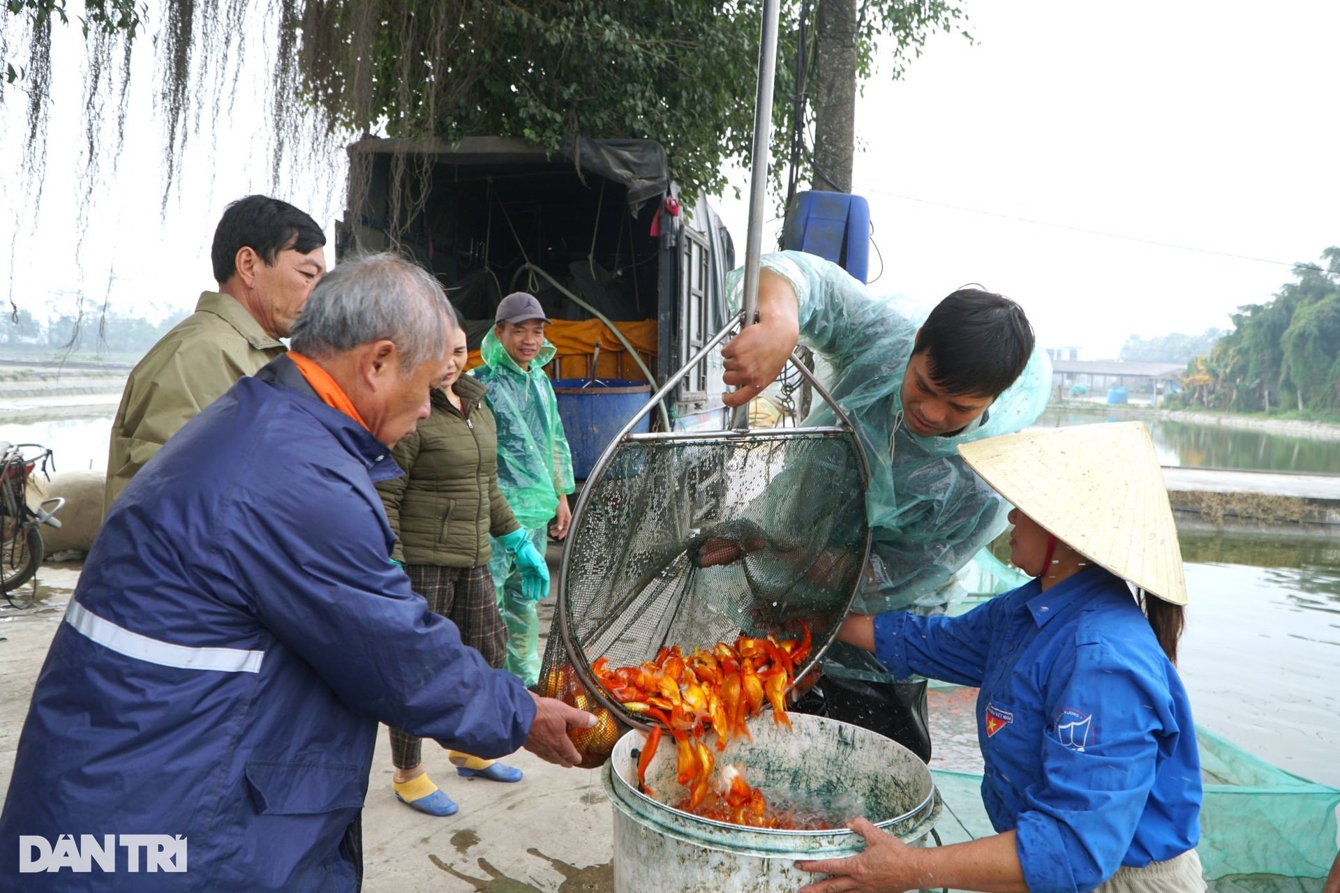 Cất mẻ lưới lớn nhất năm, kiếm trăm triệu đồng dịp Tết ông Công ông Táo - 7