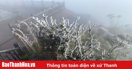 Thủ tướng Chính phủ chỉ đạo chủ động phòng, chống rét đậm, rét hại kéo dài