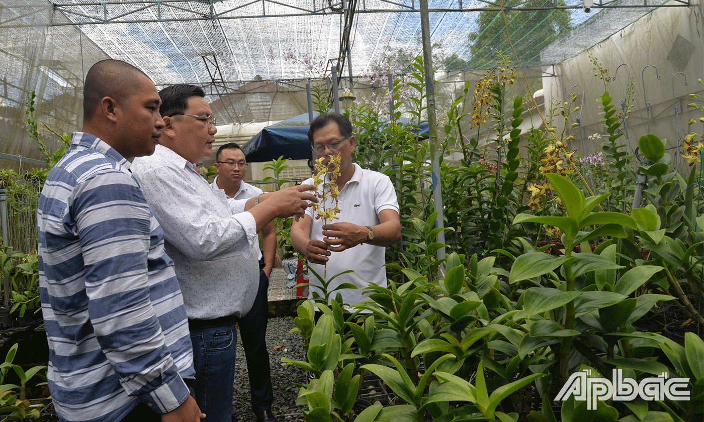 CLB ngày càng thu hút nhiều thành viên.