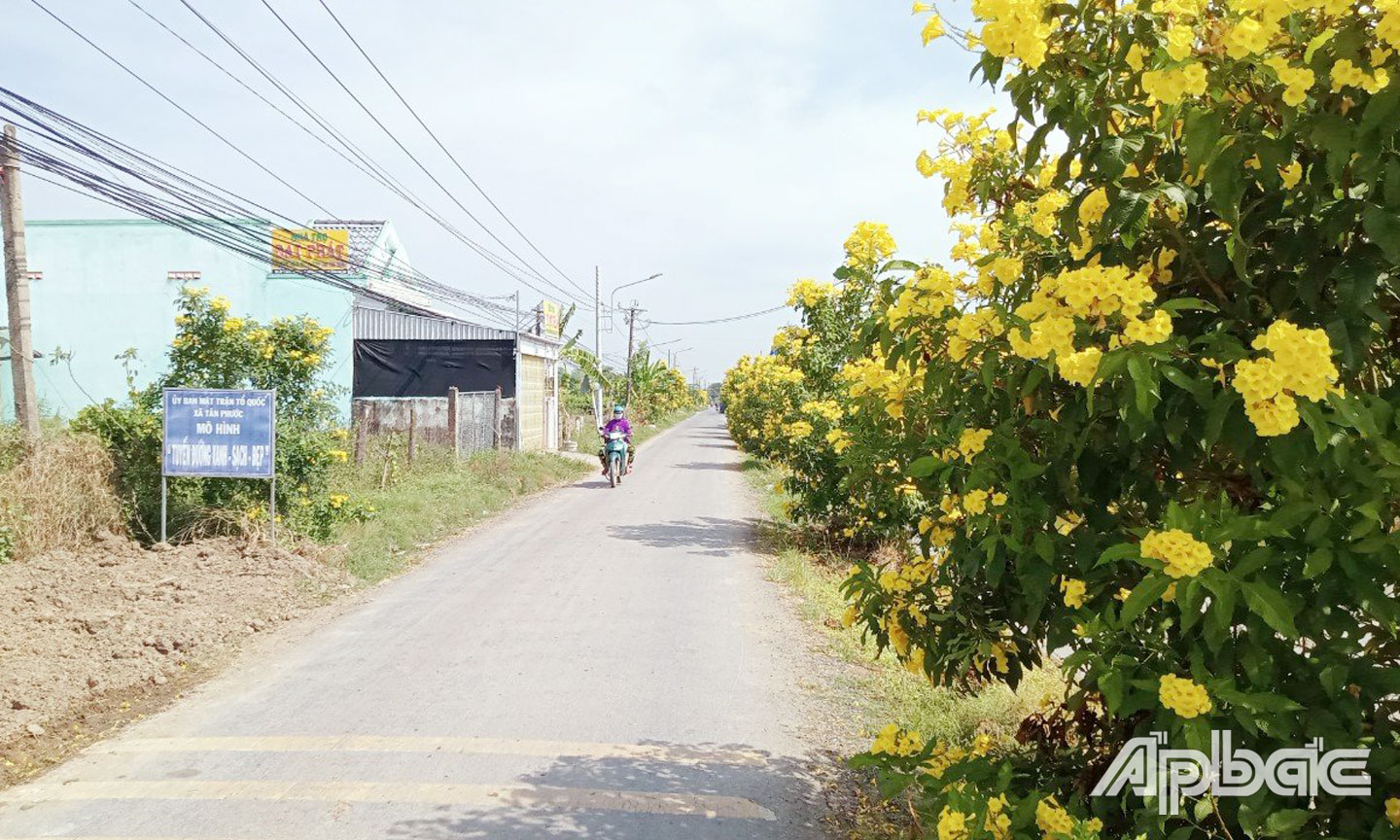 Hạ tầng giao thông được nhựa hóa, bê tông hóa thông thoáng, thuận tiện cho người dân đi lại, giao thương hàng hóa.