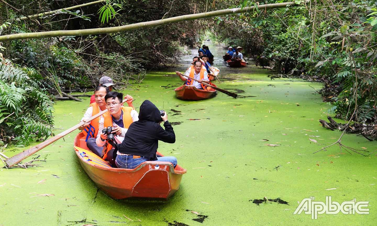 Không gian xanh với rừng ngập phèn ở Điểm tham quan Khu bảo tồn sinh thái Đồng Tháp Mười.