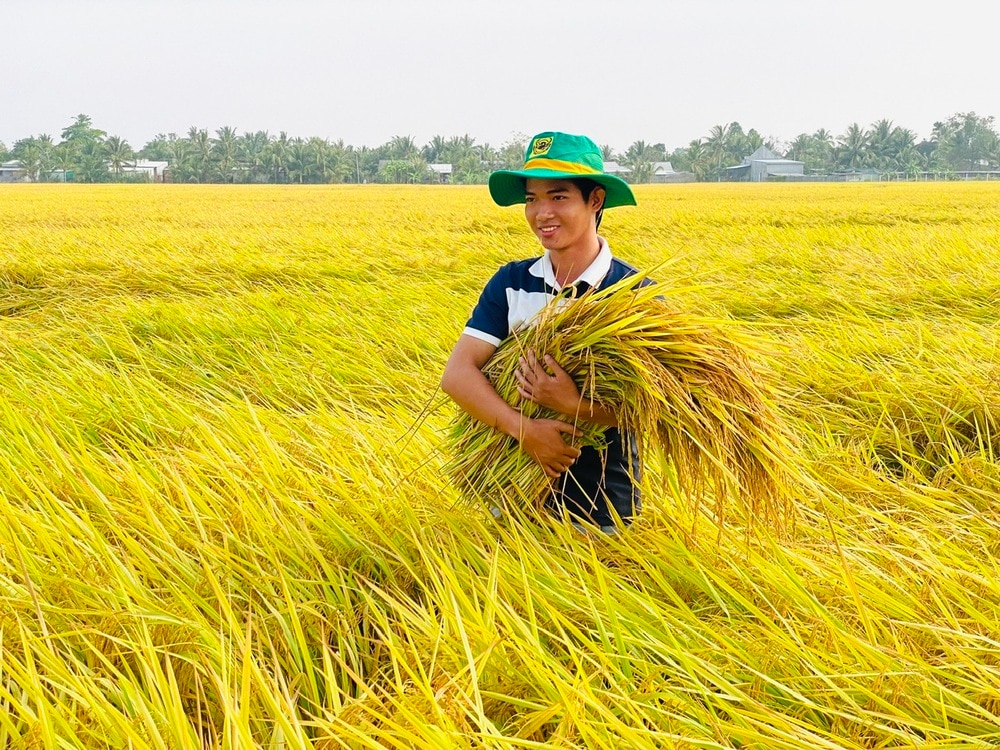 Người mang khát vọng gạo Việt ra thế giới- Ảnh 2.