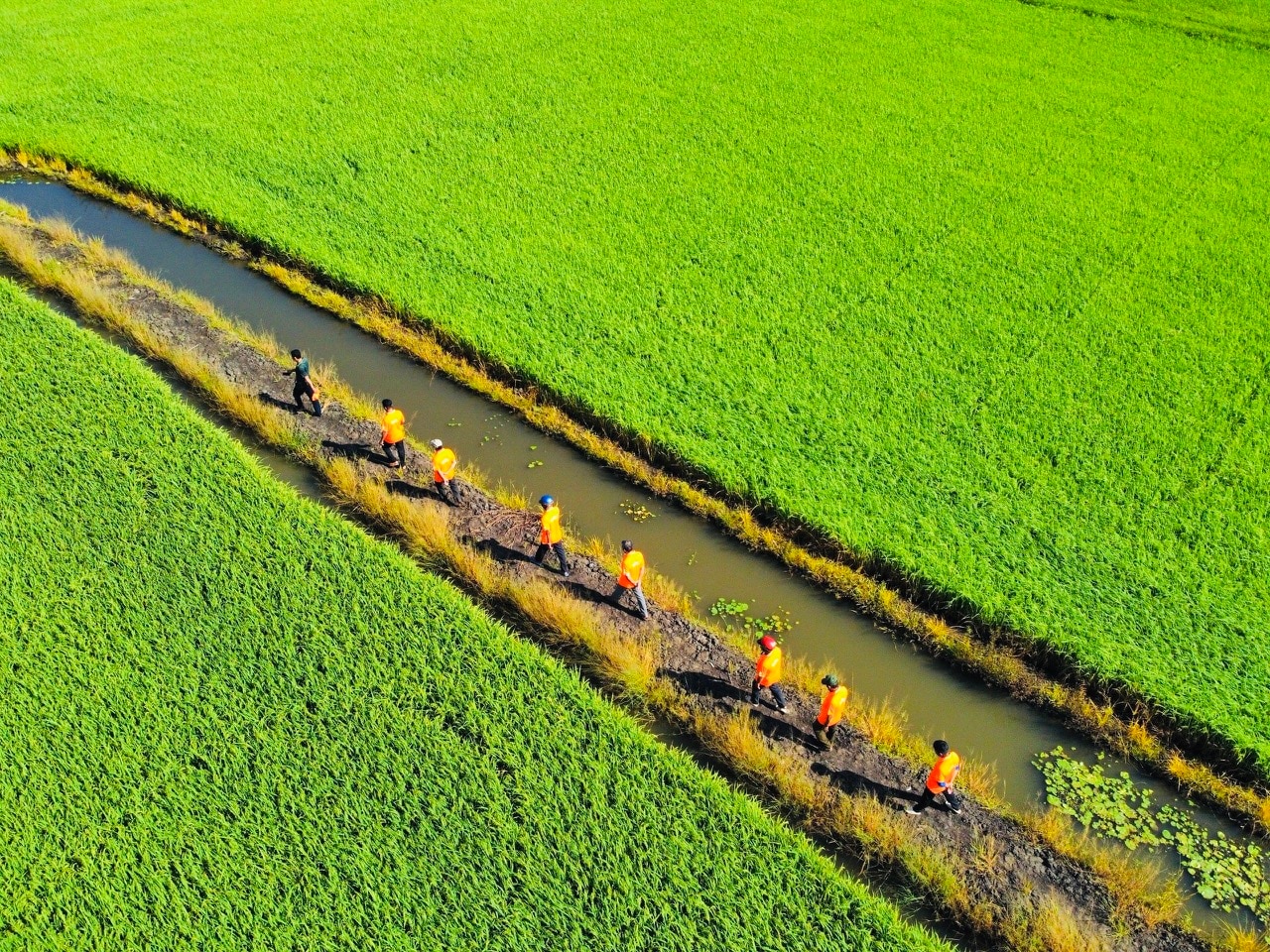 Người mang khát vọng gạo Việt ra thế giới- Ảnh 10.