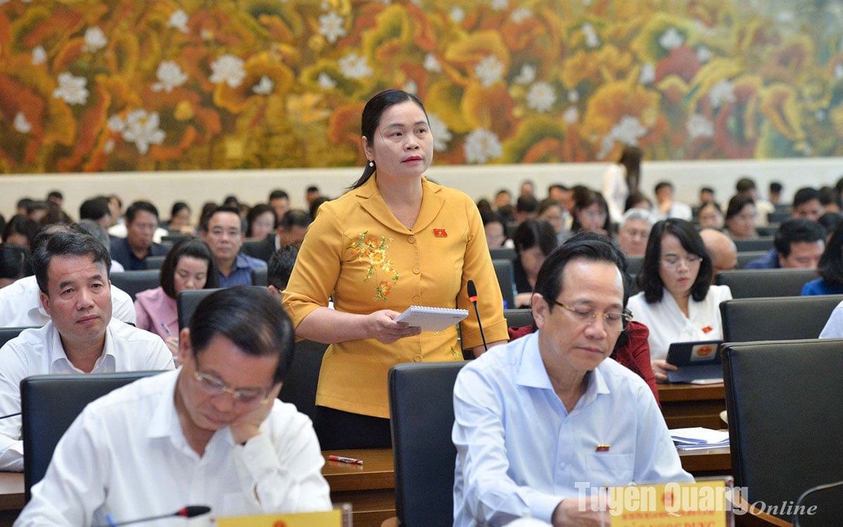 마티투이 국회의원은 ...의 보호법에 많은 내용을 기여했습니다.