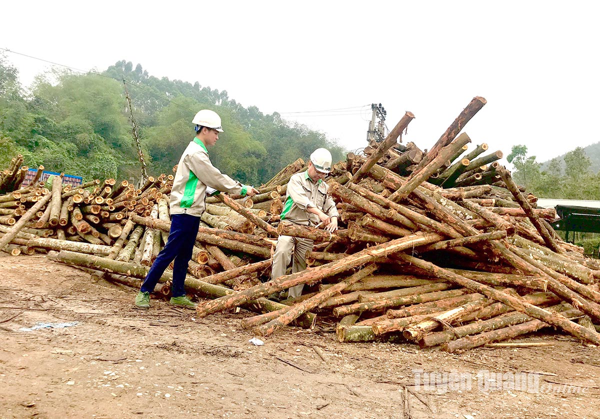 Phát triển đảng viên trong doanh nghiệp ngoài Nhà ...