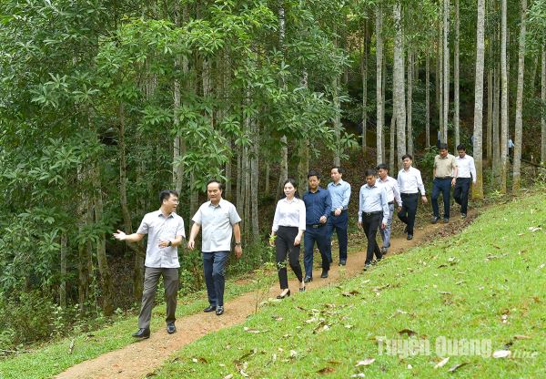 Na Hang cần tập trung phát triển du lịch sinh thái, ...