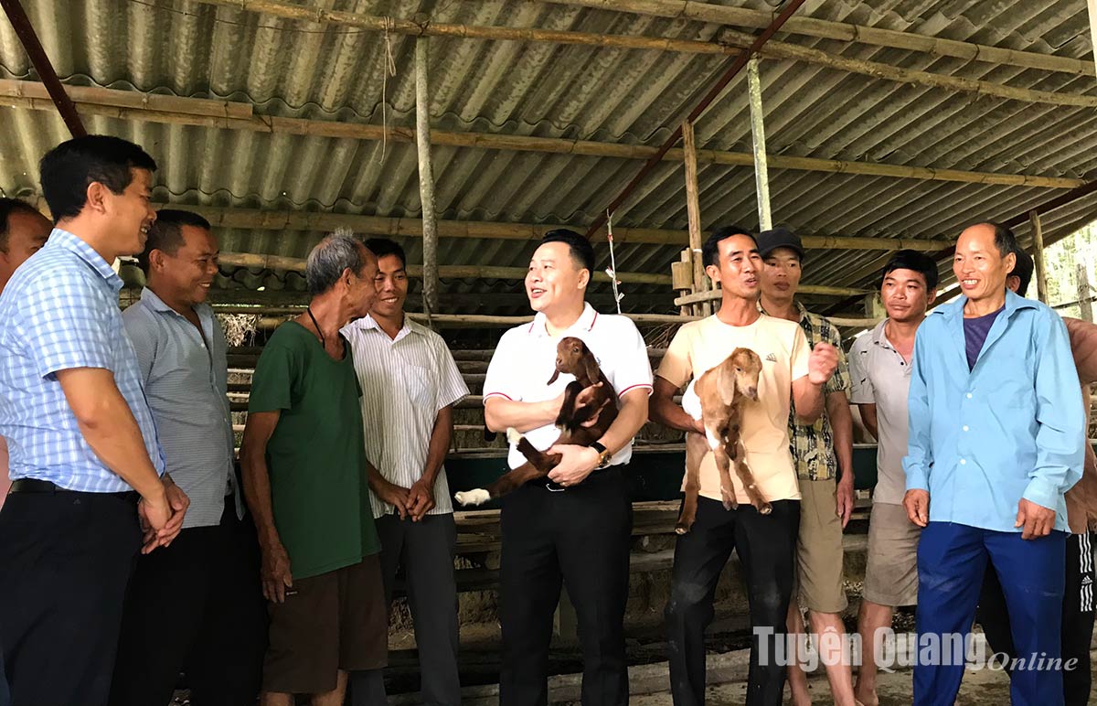 Dix ménages appartenant à des minorités ethniques de la commune de Trung Minh ont reçu une formation sur les techniques d’élevage de chèvres.