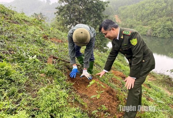 Tích cực trồng rừng sau những cơn mưa giải nhiệt