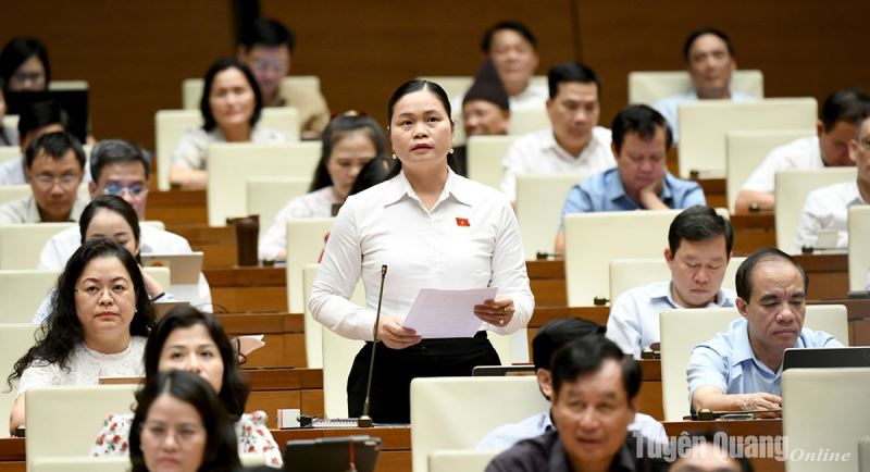 National Assembly Delegate Ma Thi Thuy: It is necessary to carefully consider and widely consult the subjects affected by the draft Law on Social Insurance (amended)