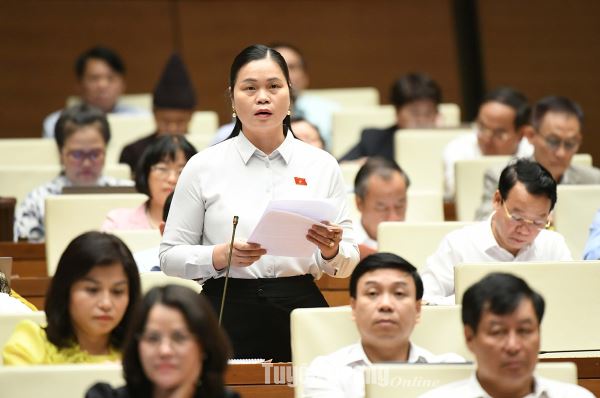 La déléguée de l'Assemblée nationale, Ma Thi Thuy, discute du programme d'élaboration des lois et des ordonnances de l'Assemblée nationale.