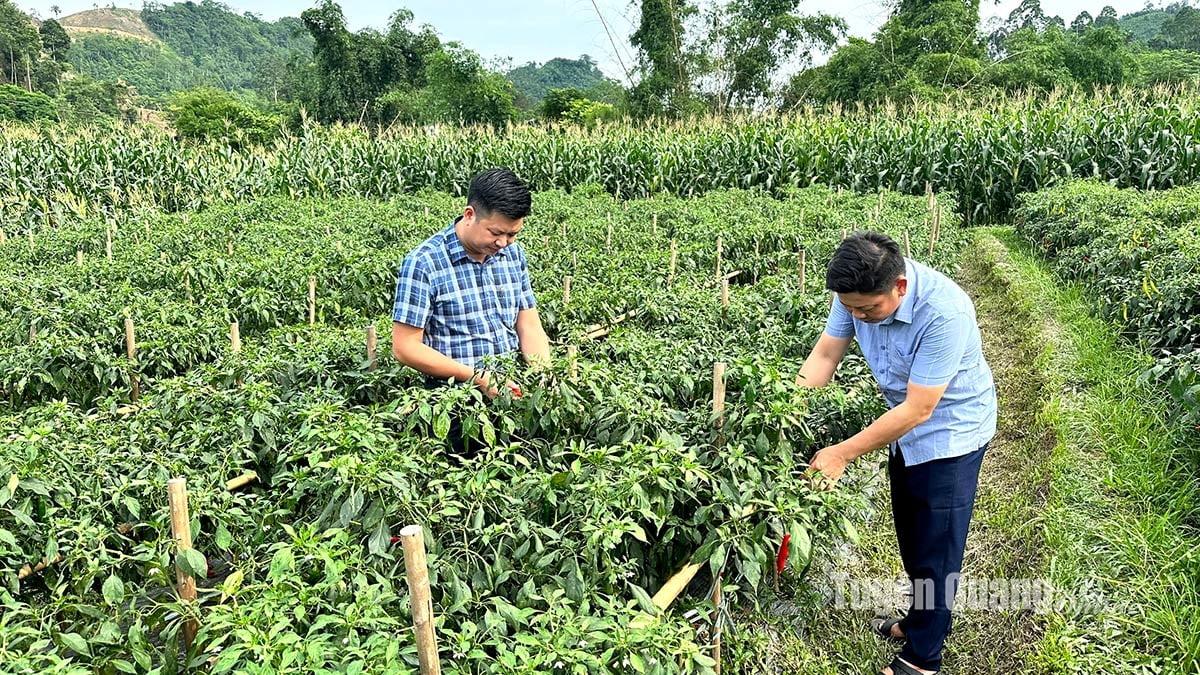 Quan tâm rèn luyện, bồi dưỡng cán bộ trẻ