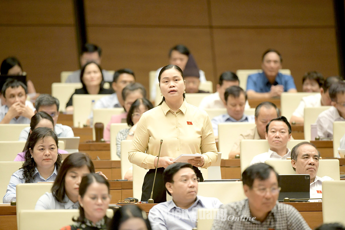 ĐBQH Ma Thị Thúy chất vấn Tổng Kiểm toán Nhà nước về tình trạng nhiều đơn vị thực hiện chưa nghiêm kết luận kiểm toán