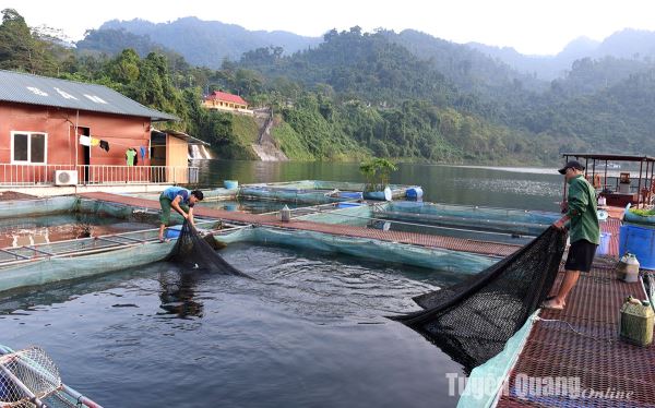 Bảo vệ thủy sản mùa mưa bão