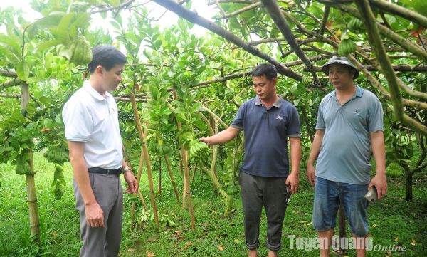 Quy định số 144-QĐ/TW: quyết tâm xây dựng đảng về đạo đức