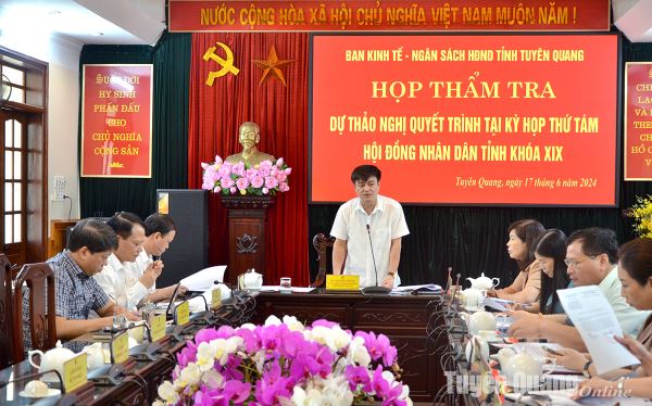 Ban Kinh tế - Ngân sách HĐND tỉnh thẩm tra dự thảo nghị quyết