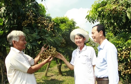 Cần có giải pháp căn cơ nâng cao giá trị các nông sản chủ yếu ở ĐBSCL.