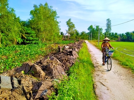 Với dự báo mưa, bão nhiều hơn, cần sớm triển khai nâng cấp, sửa chữa hệ thống thủy lợi nội đồng nhằm đảm bảo tiêu nước, chống úng cho vụ lúa Thu Đông năm nay.