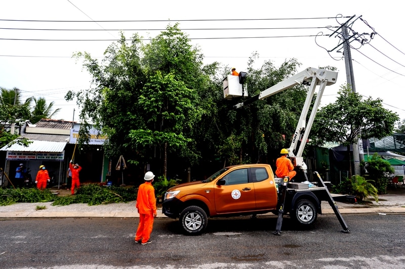 Ngành điện cắt tỉa cây xanh trong hành lang an toàn lưới điện.