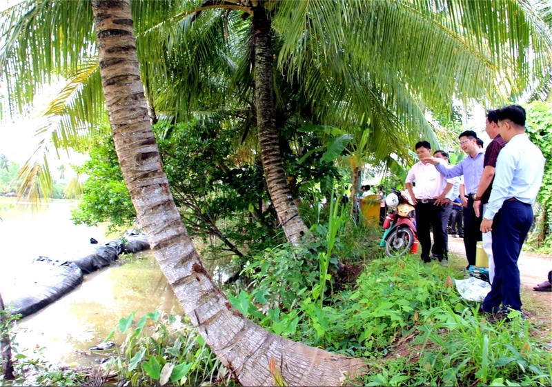 Đánh giá bước đầu nhận thấy công trình có hiệu quả giảm sóng, giảm dòng chảy ven bờ.