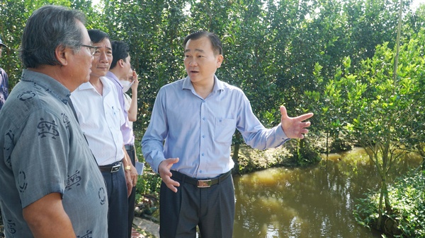  Đoàn lắng nghe tâm tư, nguyện vọng của nhà vườn trồng cam sành tại xã Mỹ Thạnh Trung (huyện Tam Bình).