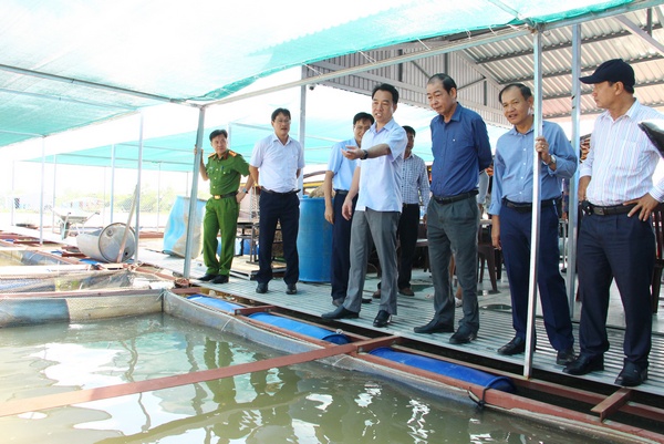 Đoàn khảo sát tại các bè cá trên tuyến sông.