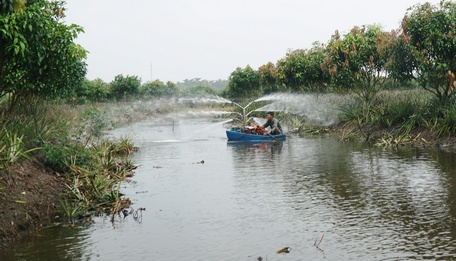 Nông dân tưới khóm.