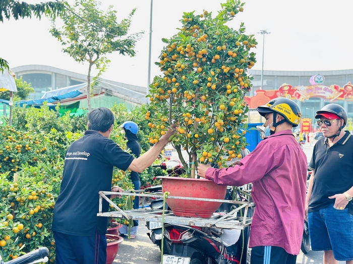  Người dân tranh thủ “rinh” hoa Tết về nhà.