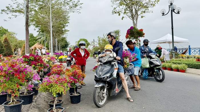 Ngày 29 Tết, hoa giấy hút khách. Anh Phan Anh Tuấn (Chợ Lách, Bến Tre) cho biết: “Mỗi cây bông giấy giờ tôi chỉ bán 100.000đ, vì còn khoảng 200 cây nên để giá tốt cho khách. Mấy ngày đầu ra chợ, những cây có dáng và gốc đẹp thế này phải bán 300.000-400.000đ”.