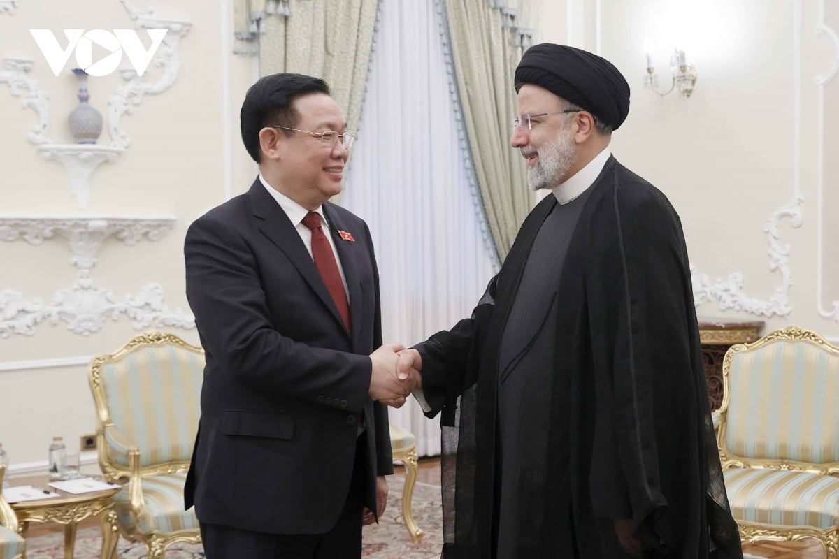 chu tich quoc hoi vuong Dinh hue hoi kien tong thong iran ebrahim raisi hinh anh 2