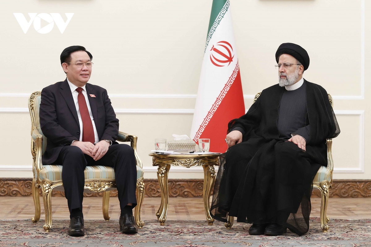 chu tich quoc hoi vuong Dinh hue hoi kien tong thong iran ebrahim raisi hinh anh 3