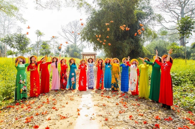 Frauen im traditionellen Ao Dai fangen wunderschöne Momente der Blüte des Baumwollbaums ein. (Foto: Rang Dong)