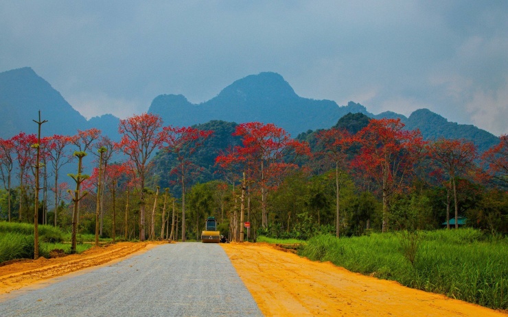 Huyện Anh Sơn (Nghệ An) được xem là một trong những huyện có nhiều cây hoa gạo nhất, nằm rải rác ở các xã. Trong đó tại xã Tam Sơn (huyện Anh Sơn) được coi là có nhiều hoa gạo nhất với hàng chục cây đang kỳ trổ bông. Những cây gạo chủ yếu mọc ở các bãi ven bờ sông Lam. (Ảnh: Rạng Đông)