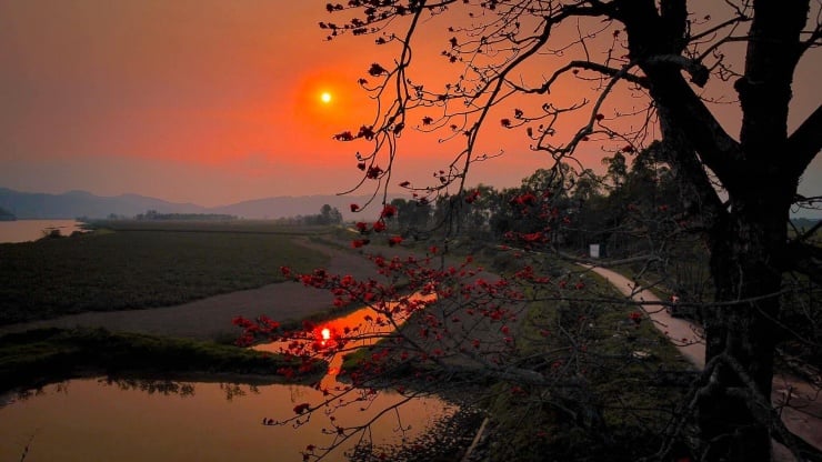 Bei Sonnenuntergang verleiht die rote Farbe des Sonnenlichts den Kapokbäumen eine ganz besondere Schönheit.