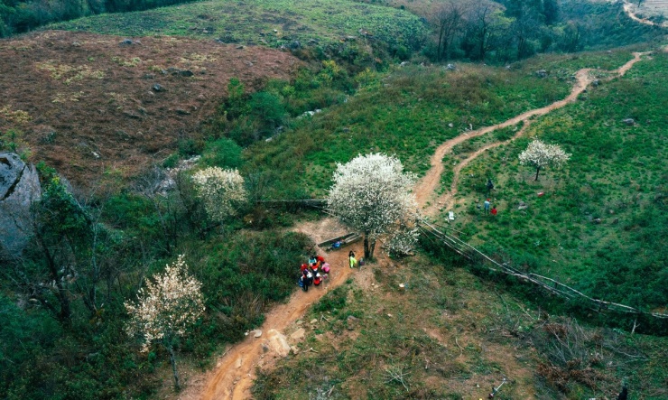 Entrando a la capital de las flores de espino Mu Cang Chai - 7