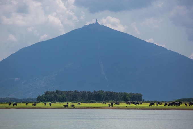 Lago Dau Tieng visto desde un barco de pasajeros, a lo lejos se ve la imponente montaña Ba Den, debajo hay cientos de búfalos pastando. Foto: Nguyen Thanh Tuan