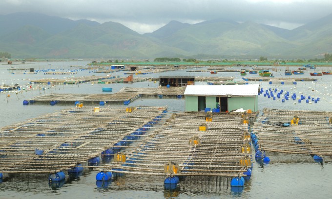 Laguna Cu Mong en la ciudad de Song Cau. Foto: Quynh Mai