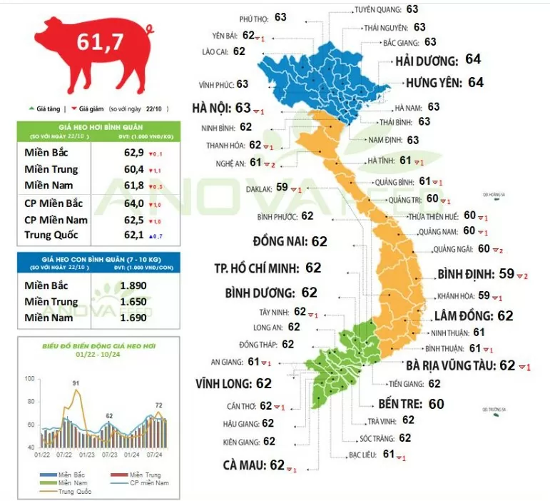 Giá heo hơi hôm nay 24/10/2024: