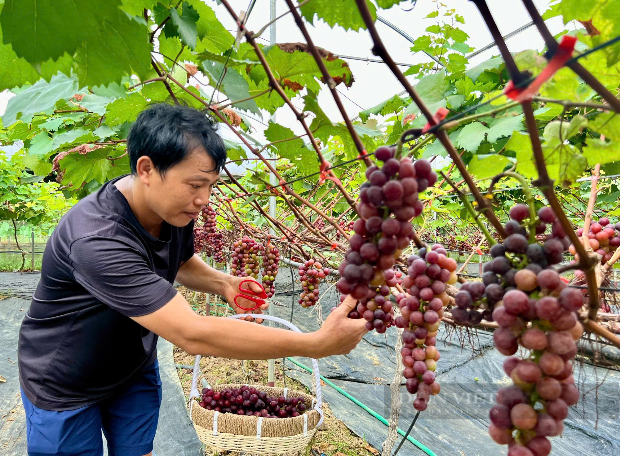 Vĩnh Phúc xây dựng nông thôn mới hiện đại, nông dân văn minh - Ảnh 3.