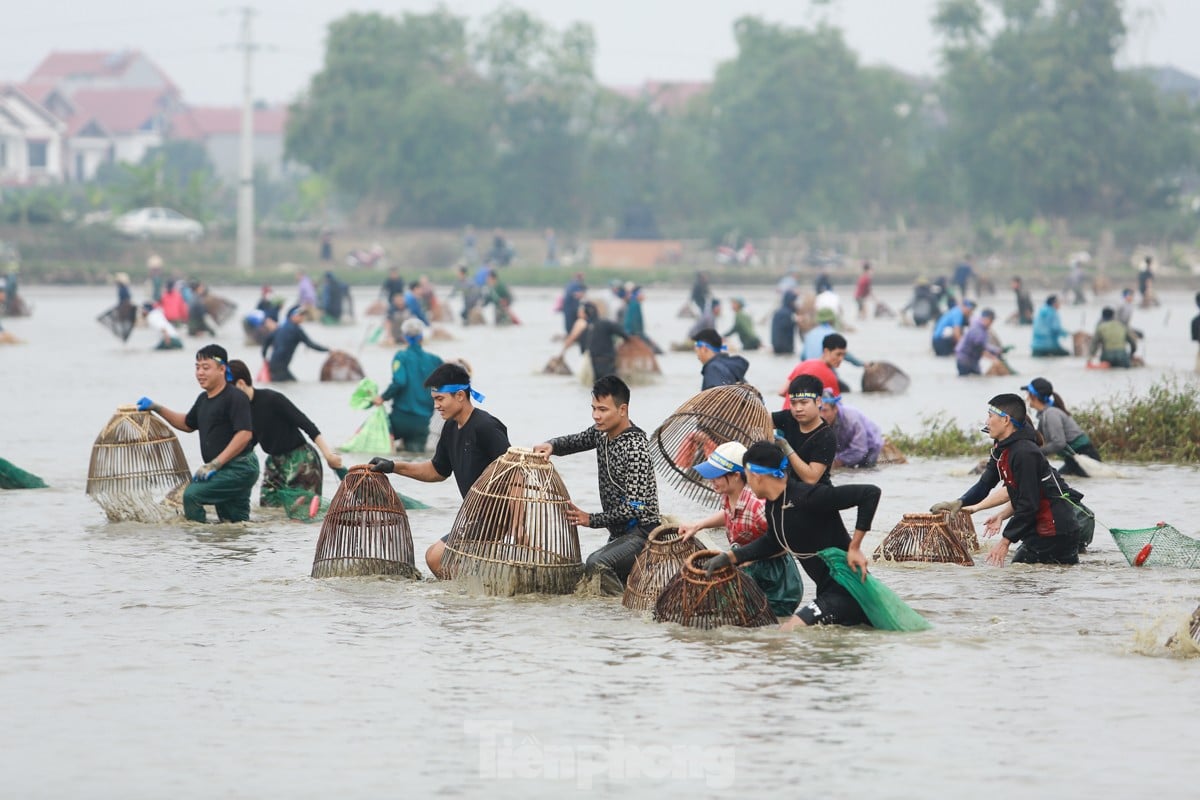 Hàng trăm người xuống ruộng bắt cá cầu may giữa trời lạnh 16 độ ảnh 7