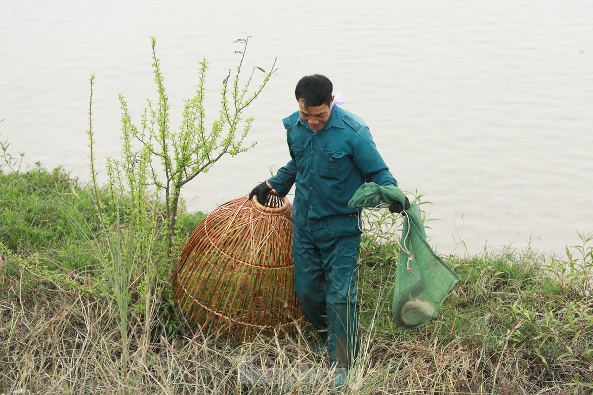 Hàng trăm người xuống ruộng bắt cá cầu may giữa trời lạnh 16 độ ảnh 18