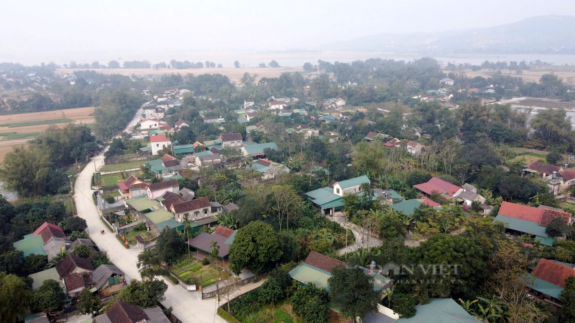 Hà Tĩnh: Làng Vĩnh Phúc nhộn nhịp mùa Tết với những bó lá dong xanh mướt - Ảnh 1.